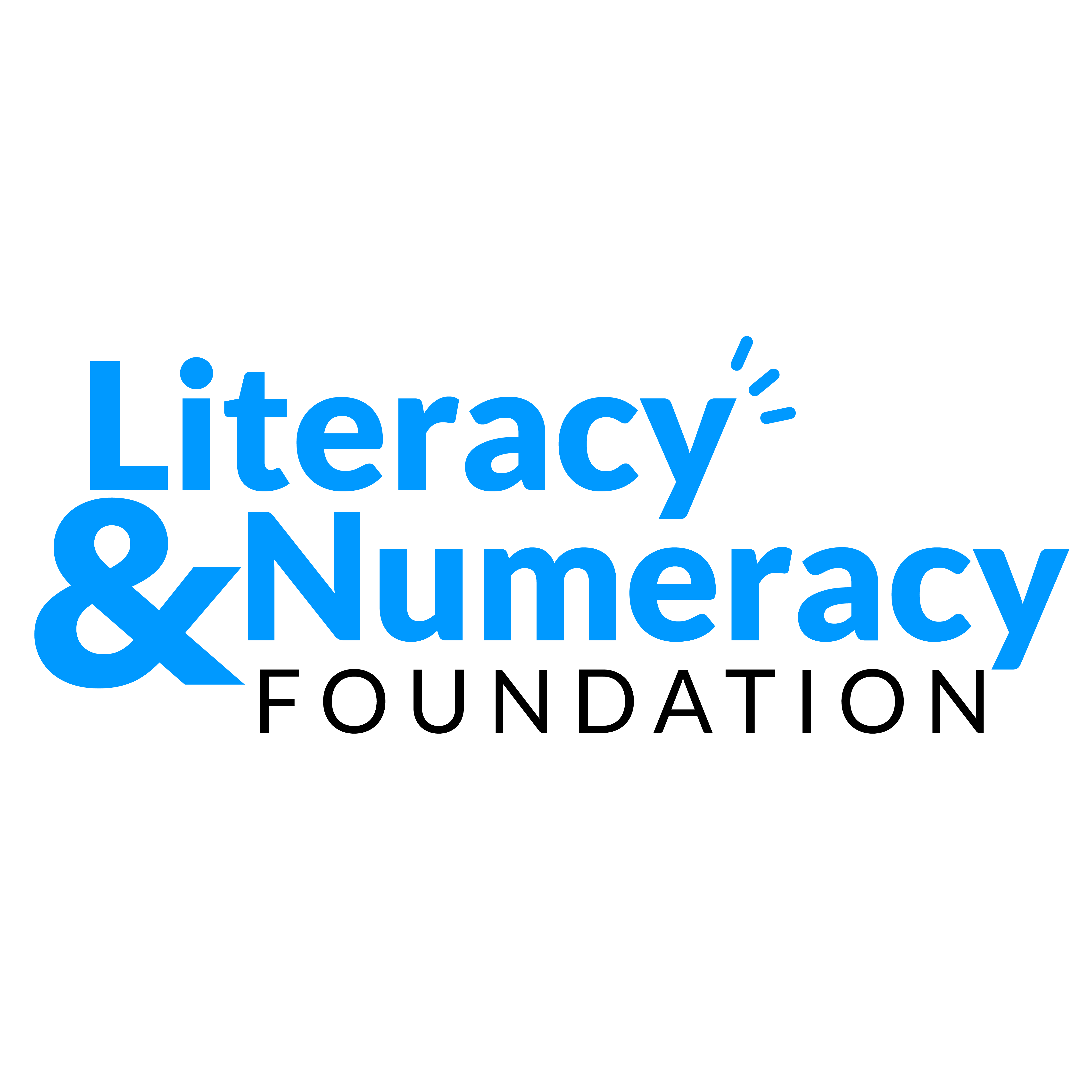 Literacy and Numercay Foundation, Biu