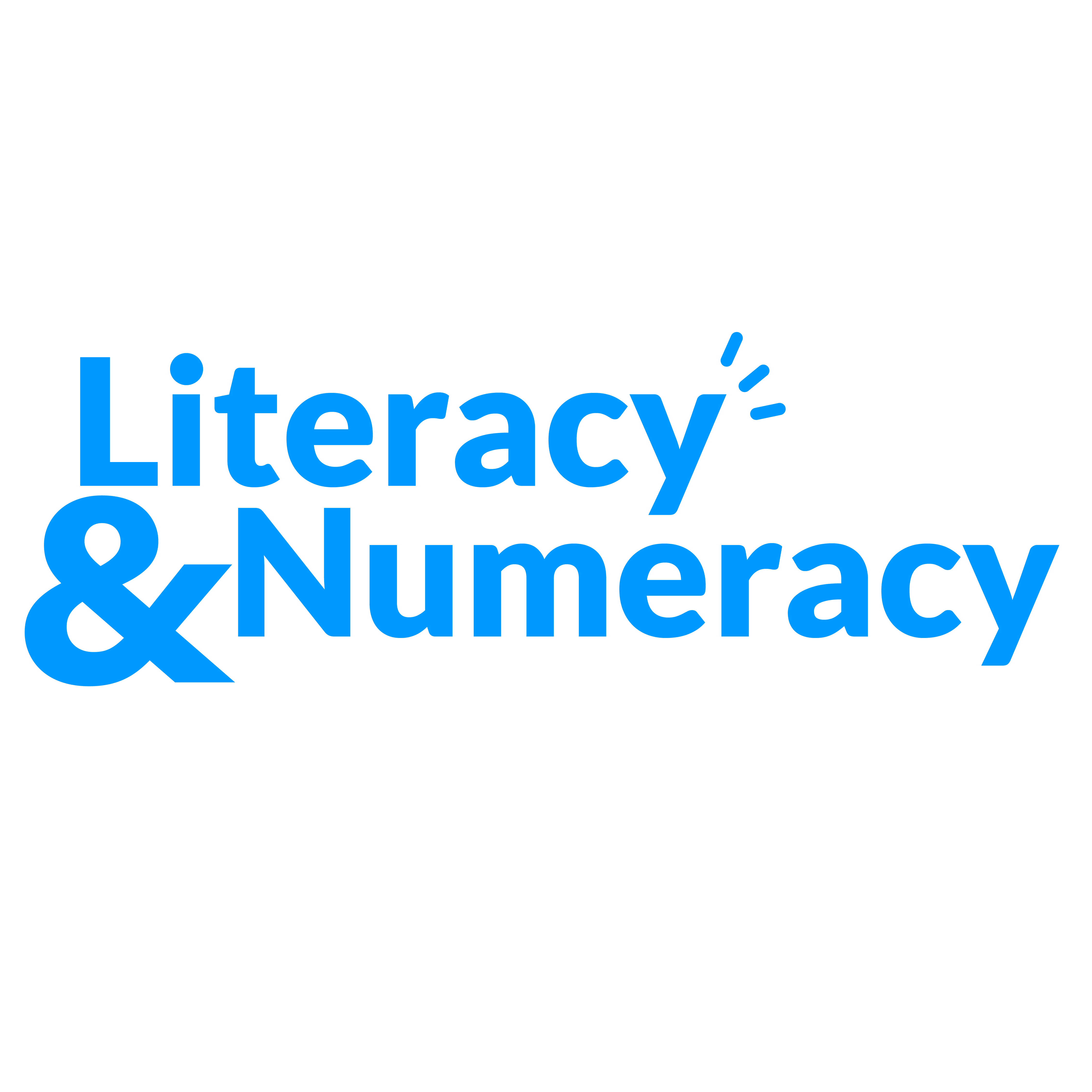 Literacy and Numercay Foundation, Biu